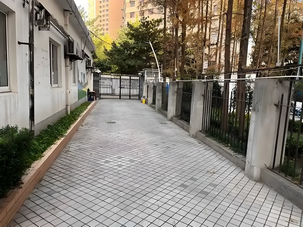 傻狐惑魔尊
